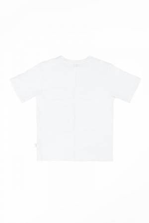 T-SHIRT PAOLO PECORA PP3370 BIANCO-1-mini