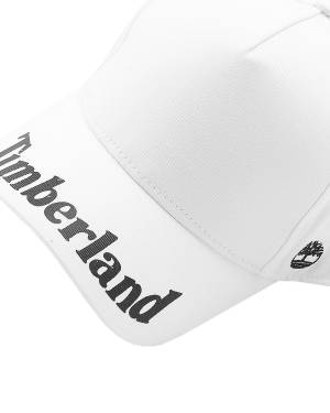 CAPPELLO TIMBERLAND T21379 WHITE-3-mini